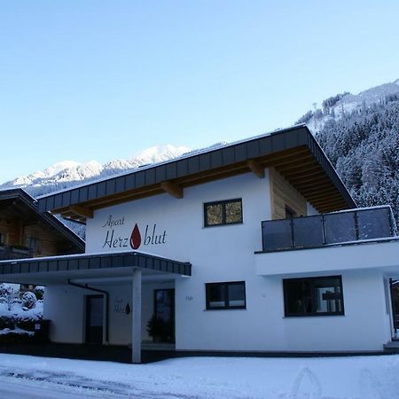 Apart Herzblut Mayrhofen Esterno foto